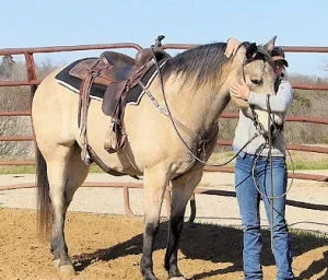 COWBOY