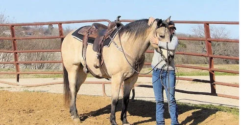 COWBOY